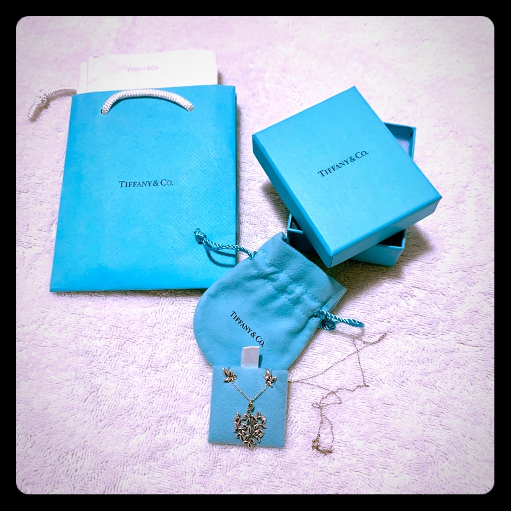 Genuine Tiffany Paloma Picasso Sterling Silver Set - Picture 1 of 4